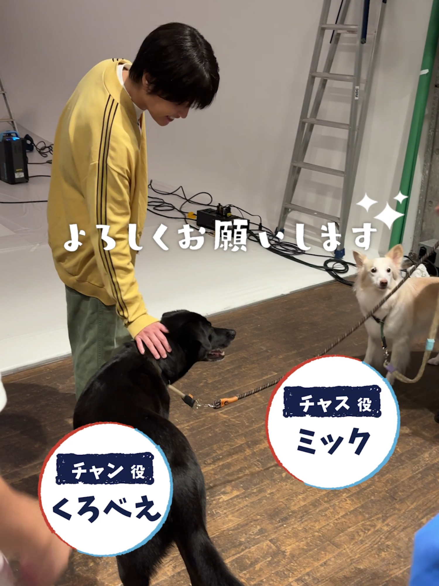 チャンとチャスとポスター&ティザー撮影 #及川光博 #手越祐也 #白鳥玉季 #ぼくたちん家 🏠 10月12日(日)よる10時30分スタート