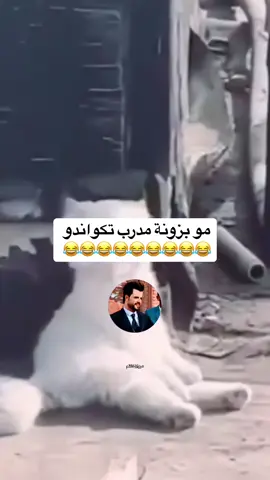ماكو هيج بدونة 😂😂#اكسبلور_explore #مشاهير_تيك_توك #اكسبلور #الشعب_الصيني_ماله_حل😂😂 #العراق 