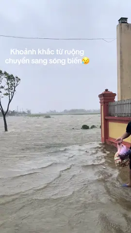📍Diễn Thịnh, Diễn Châu, Nghệ An. Lần đầu trong đời thấy bão to ntn😓#baoso10 #viral #lulut #nghean #dienchau 