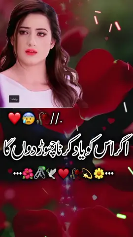 #💐🌸🥀🤲😢💔#dailyurdushayari254 #urdushayari254 #trendingurdushayari254 #urdushayari254forbeginners 