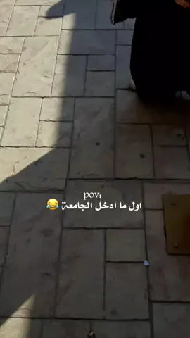 #جامعة_العين #الشعبالصيني_ماله_حل😂 #ذيقار_ميسان_بغداد_بصرة_كربلاء_النجف #طلاب_الجامعات #جامعةالفراهيدي 