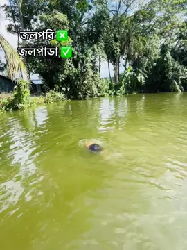 জলপাডা ✅✅ #fybシviral 