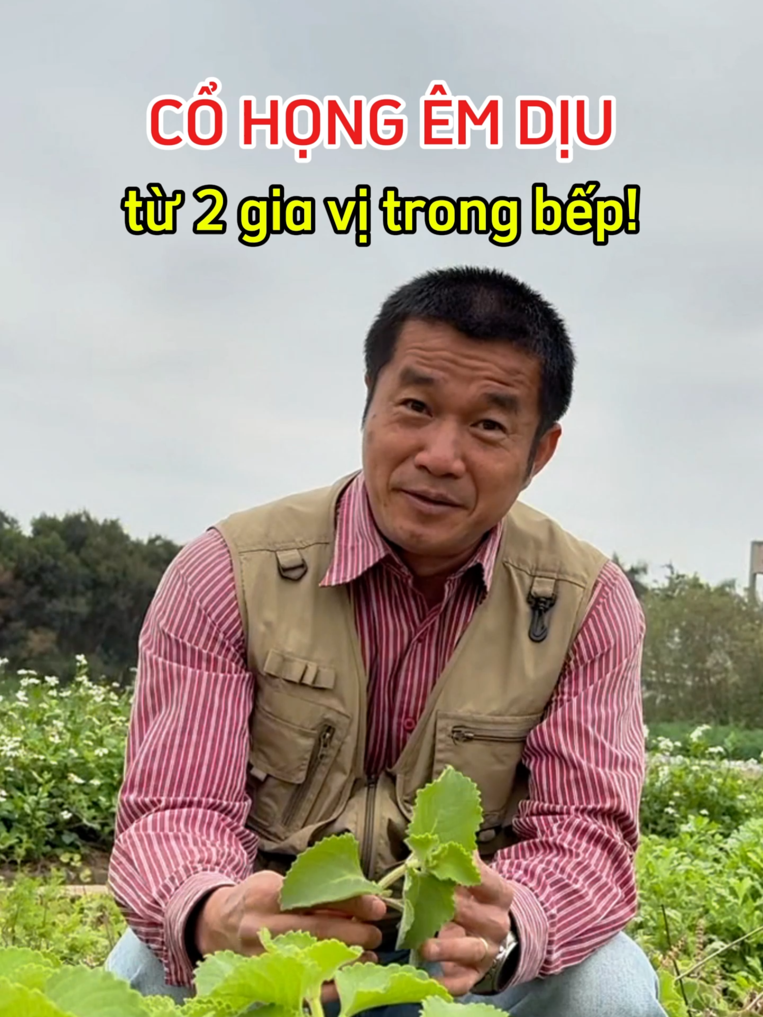Cổ họng êm dịu từ 2 loại 