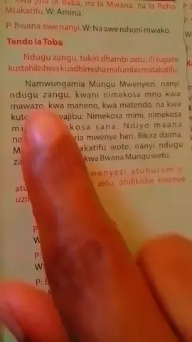 #fypシ゚ #viral_video #catholics #catholictiktokers🥰🥰 #catholicsoftiktok 