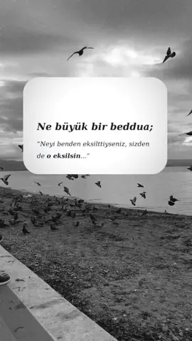 🕊️🕊️🕊️