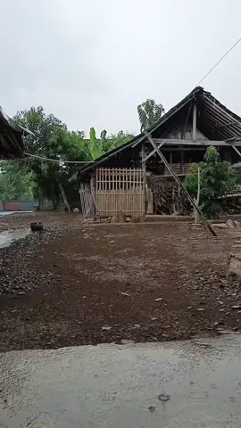 SwasembadaPangan #airhujan 