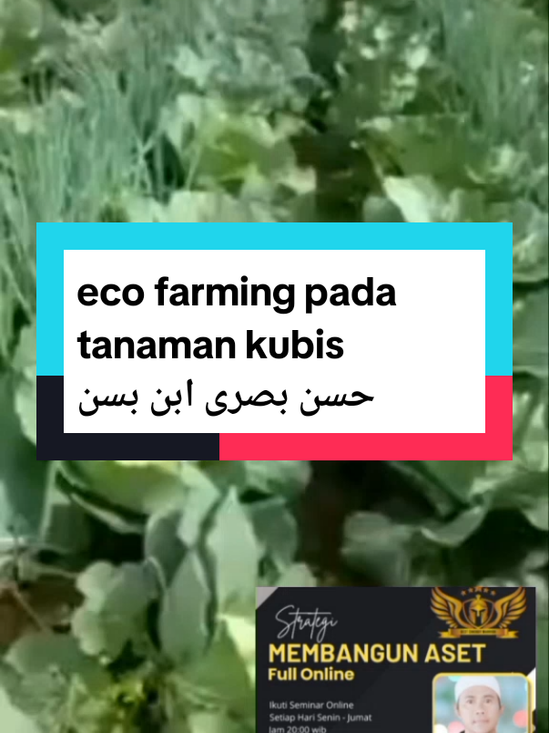 #peluangbisnis  #bisnisviral  #bisnisonline  #ecofarmingpupukorganiksuperaktif 