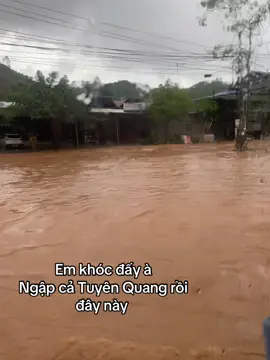 #xuhuongtiktok #lũlụt #bãobuloi #tuyênquang 