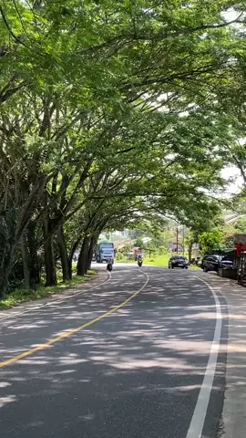 #truksumbar #hino500 