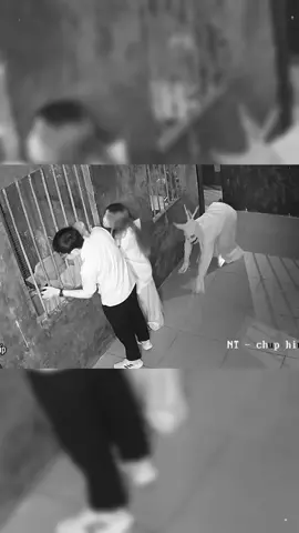 Funny escape room moments#funny #escaperoom #hauntedhouse #fear #prank