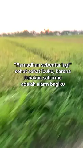 🤲🤲