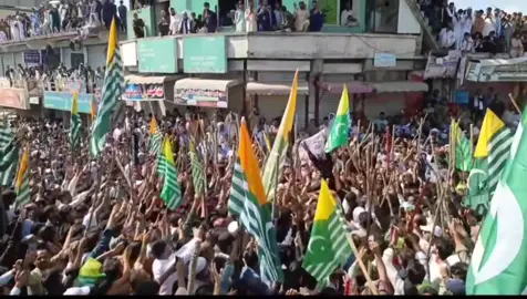 29 September Kashmir  Band matlab band  #عوامی_ایکشن_کمیٹی #29thseptember  #actioncommittee #azadkashmir #kashmir #awamiactioncommittee #ajkrightsmovement #rawlakot #rawlakot_azad_kashmir #sardarammankashmiri #khawajamehran #shoukatnawazmir #شوکت #hafeezbabar #ajk #29september #kashmirwithstan #muzaffarabad #ajkassembly #kashmirrights #آذادکشمیر #کشمیر #کشمیربنےگا_خود۔مختار #کشمیریت #کشمیرآلے #کشمیری  #ajkpolice 