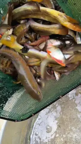 #fyppppppppppppppppppppppp 