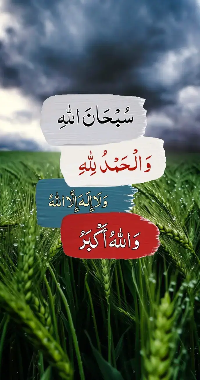 #fyp #fypage #اكسبلورexplore 