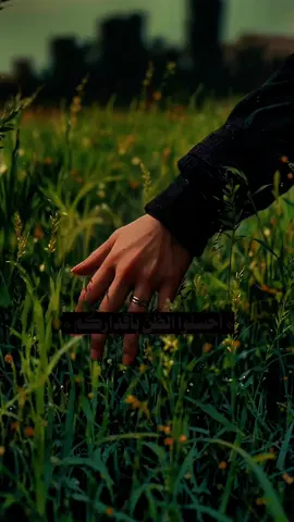 أحسِنُوا الظَّنَّ بأقداركم فإنها تأتي محملة بظنونكم ❤🌹#الحمدلله_دائماً_وابداً💚 
