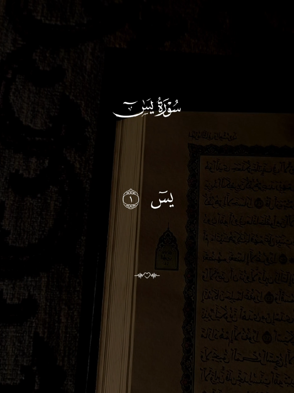 سورة يس🤍 #قران #quran #قران_كريم #Allah #اللهم_صلي_على_نبينا_محمد