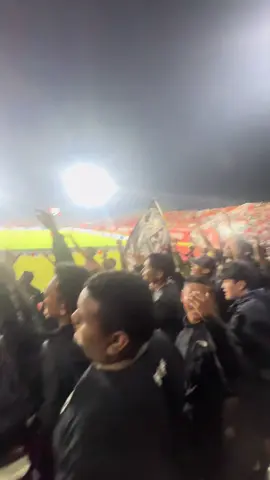 Meong🐈#borneo #pusamania #persijajakarta #thejakmania 
