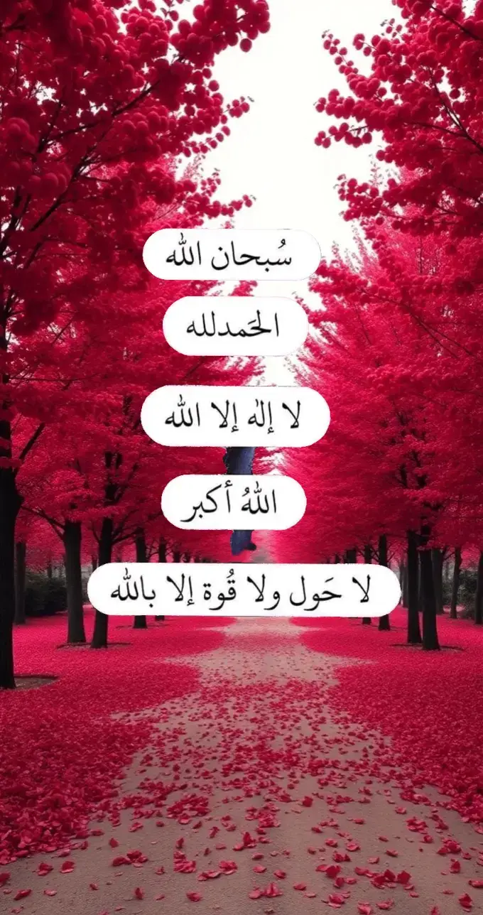 #fyp #fypage #اكسبلورexplore 
