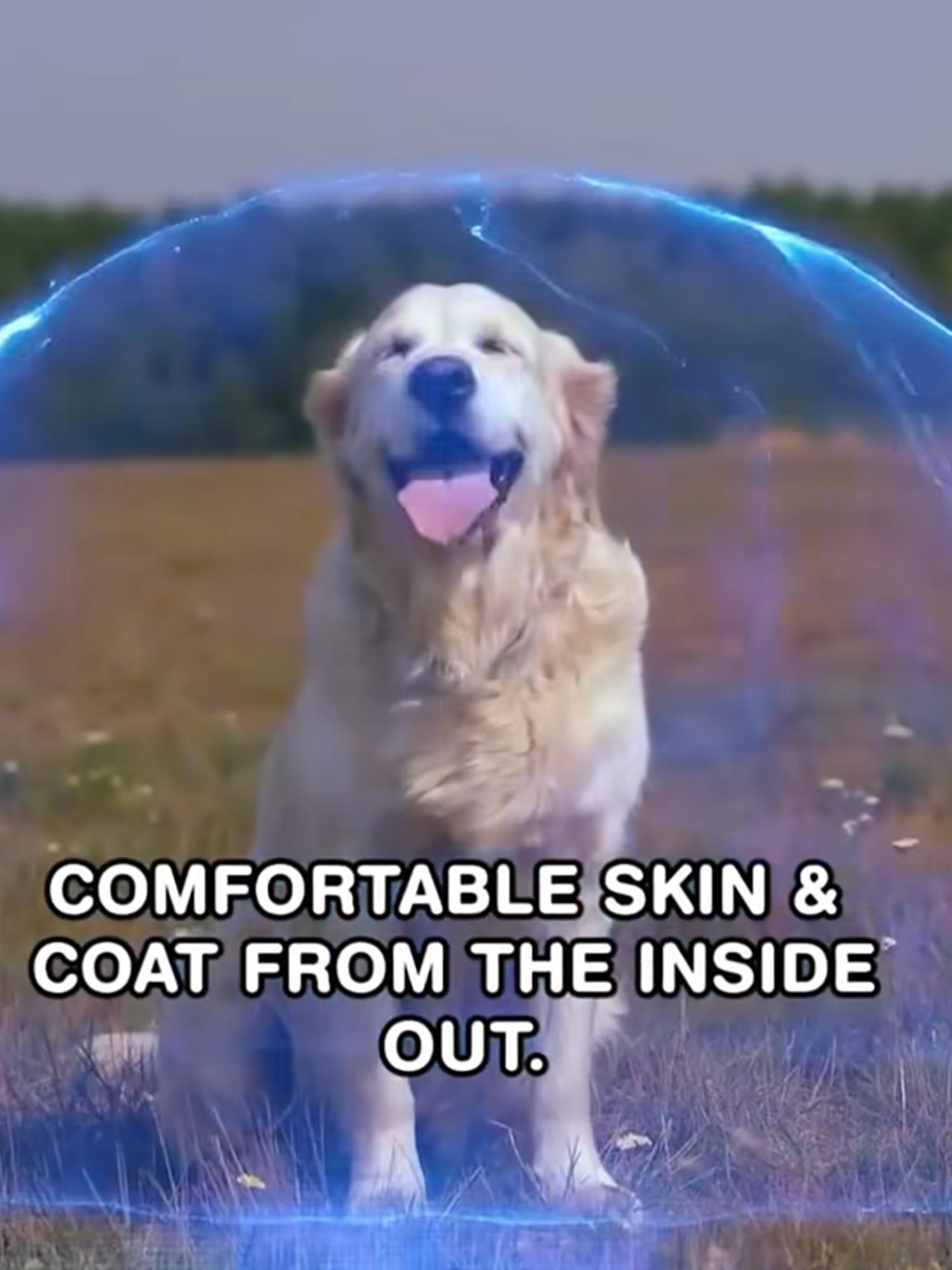 Our dogs won't be with them forever so let's do our best to give them some good times#ferapets #Fyp #ProbioticsForPets #PetCare #HappyPet #probiotics #Philippines #FeraPet #USDAOrganic #PetCareTips