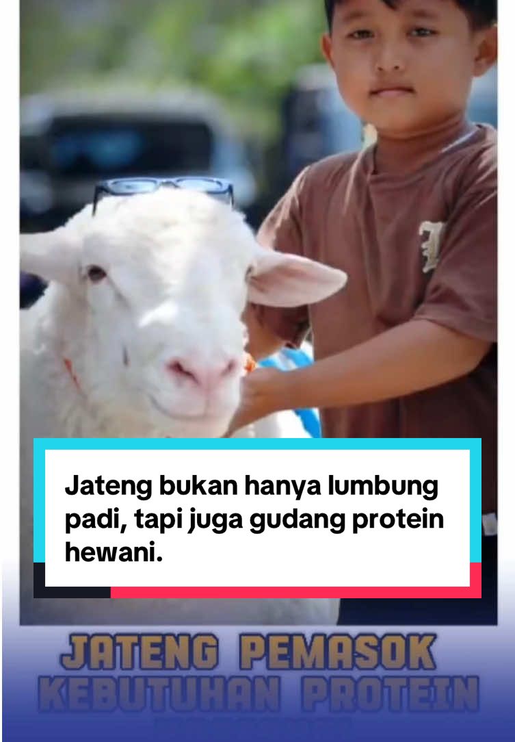 Dalam Bulan Bakti Peternakan & Kesehatan Hewan 2025 di Soropadan, Temanggung, ditampilkan kekayaan ternak Jateng: sapi, kambing, unggas, hingga plasma nutfah unggulan seperti domba Batur, kambing Kaligesing, dan itik Pengging. Sekda Jateng, Sumarno, menegaskan peternakan adalah peluang ekonomi besar. Dengan populasi ternak jutaan ekor dan unggas ratusan juta, Jawa Tengah siap menopang kebutuhan protein nasional sekaligus membuka peluang ekspor. #kesehatan #hewan #ternak #protein #jawatengah 
