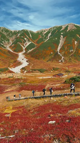 昨日の立山！もう紅葉真っ盛りでした🍁✨ 去年よりも紅葉が鮮やかで色づきも最高でした！！ まだまだ見頃が続くと思うのでぜひ行ってみてください〜！！ 📍立山　富山県 #立山 #立山黒部アルペンルート #雷鳥沢キャンプ場 #富山観光 #日本の絶景