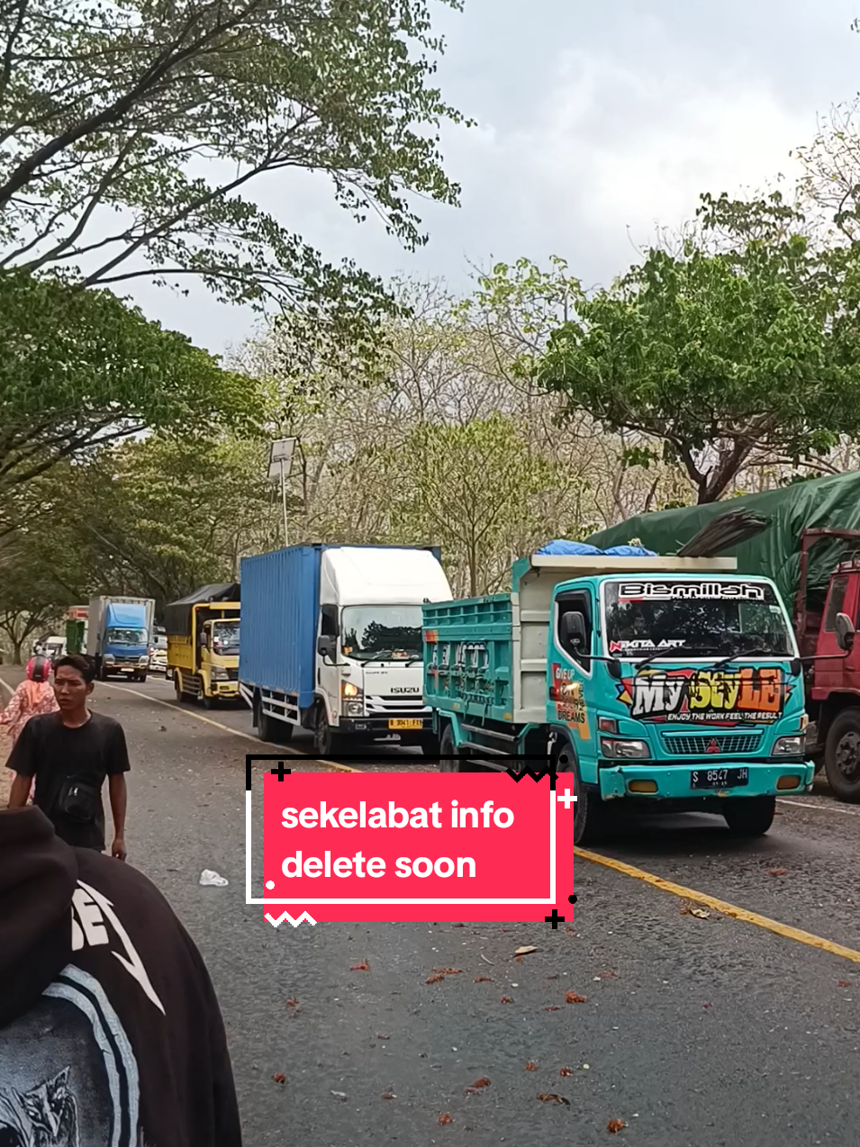 Pohon tumbang di sekitaran km 15 jalan raya saradan Madiun  pukul 15:45 wib mengakibatkan lalu lintas macet. Kondisi angin kencang hujan gerimis. Hati hati dalam berkendara ya guys #infomadiun #pohontumbang #madiun24jam #madiunstory #viral 