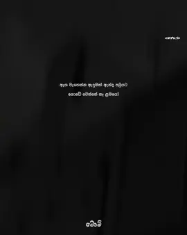 තේරුම් ගැනීම ඔබ සතුයි ! 🤍 #tikotok #viral #capcut #tom #1m @Dolly girl_🐼💗
