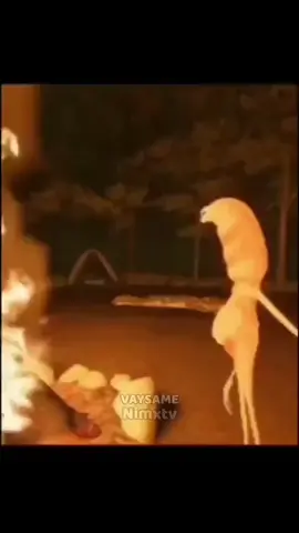 رابرت و مارکوس نسخه فارسی😂🔥