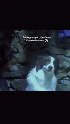 لۆخۆت هه ر بوەڕە جیانە🥲😂👍🏻
