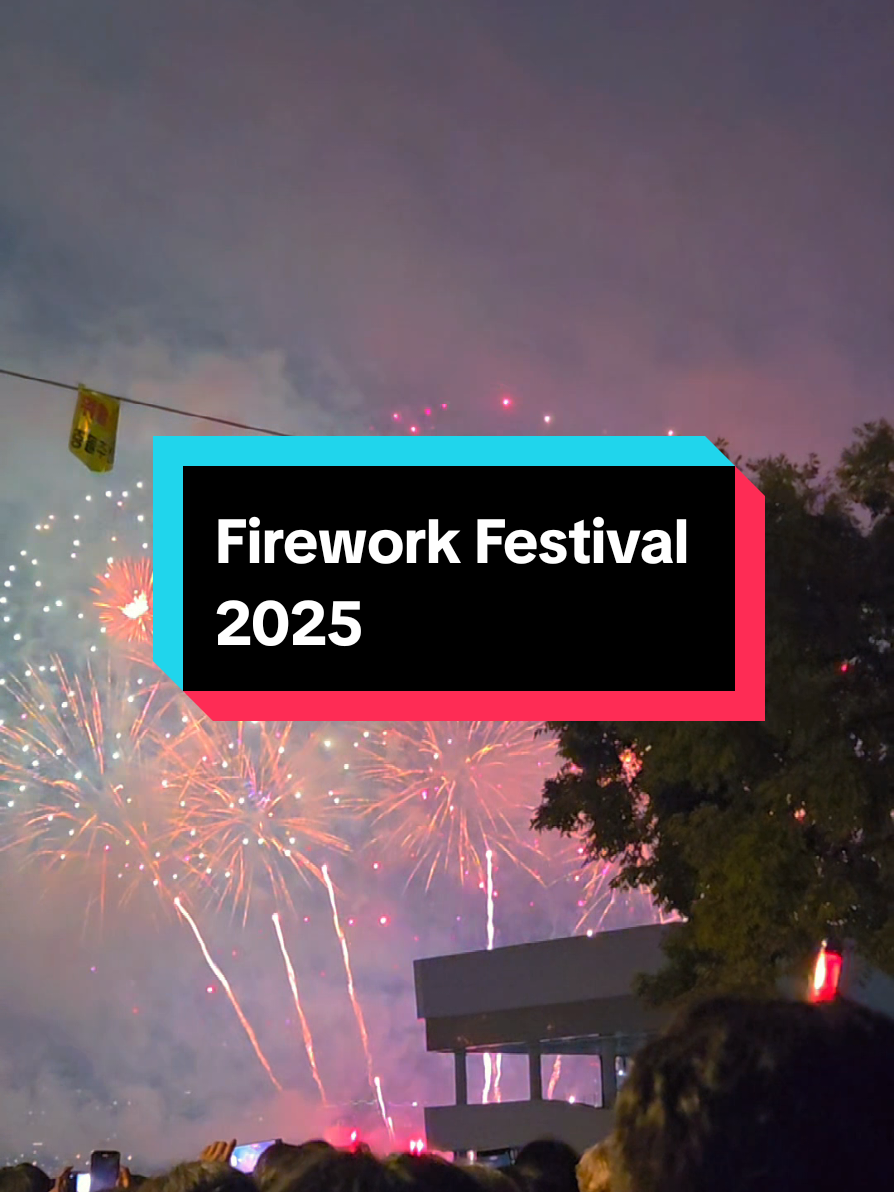 Sky full of magic 🎆 Seoul International Firework Festival 2025 #seoul #firework #korea #fireworkfestivalseoul #fyp 