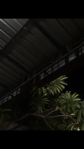 uasik lo iki