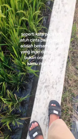 kamu hanya kurang beruntung 🥀😊 jowopride #cidro3 jowostory #fyp #