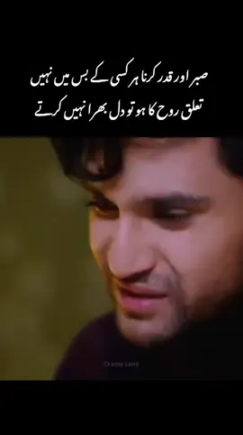 Hyee these lines 🥹🫀 #tiktok #goviral #trending #foryoupage #sajalaly 