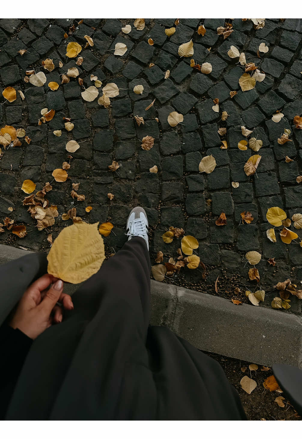 🍂 #fall #falllooks #style 