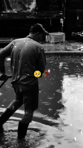 #CapCut 