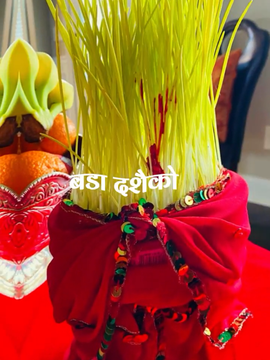 #CapCut #dashain_special #happydashain #बिजयादशमी #dashainspecial 