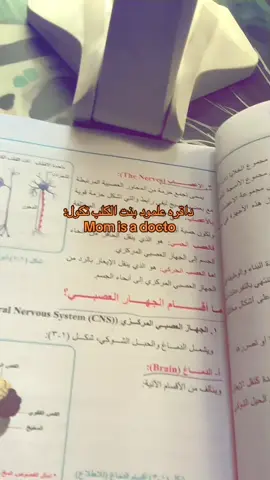 حقيقه#الشعب_الصيني_ماله_حل😂😂 #مالي_خلق_احط_هاشتاقات 😭😭😭