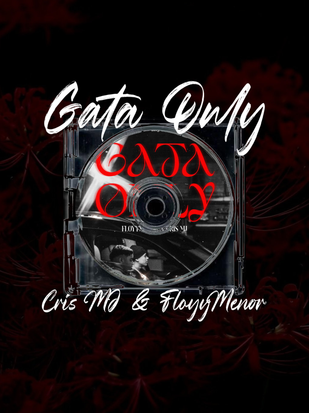 gata only>>> .  .  .  .  .  .  #audio #lyrics #🎧 #music #fyp 