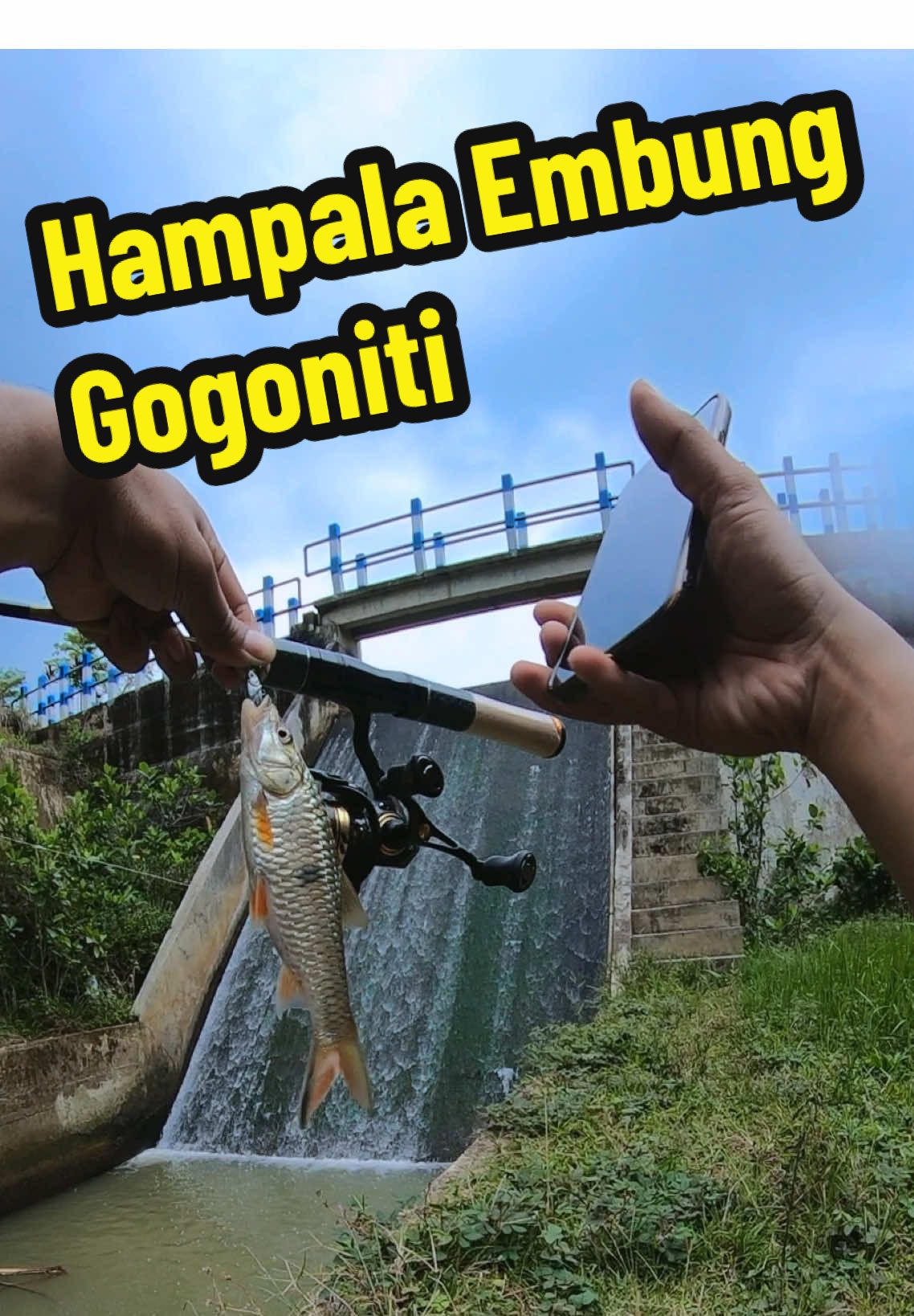 Ganasnya Hampala di spot bawah bendungan Embung Gogoniti #mancingmania #sudahisedihmumarkmancingbersamaku #anglerindonesia #hampalablitar #hampala 
