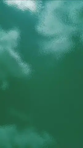 #CapCut 