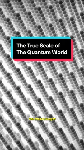 Are we closer in size to the smallest things in the Universe or the biggest? #space #physics #Science #quantumphysics #astrokobi 