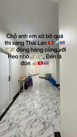 Cô gái Nhân sự tại Thái Lan ở tuổi đôi mươi 🇻🇳✈️🇹🇭💸💸. #hrbeheo #vieclamthailan #xuhuong #vieclamtaiphilipes🇵🇭🇻🇳 #vieclamtaicambodia🇰🇭