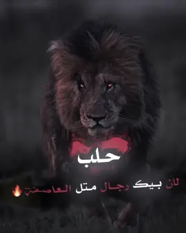 حلب 🥷🔥#تفاعلكم😍❤️‍🔥 الفكرة مسروقة 🙃 #المصممv3le❤️‍ #فيديو_ستار🚸🔥 #تصميم_فيديوهات🎶🎤🎬 #تفاعلوا_فولوا_لایگات_گومنتات🔀🎧📍  @⤹🍁 𝒉𝒂𝒎𝒐𝒖𝒅𝜾 ★  @⤹🍁 𝒉𝒂𝒎𝒐𝒖𝒅𝜾 ★ 