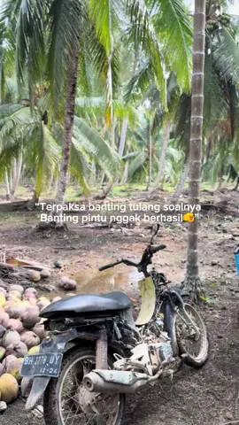Padahal udh pakai jurus andalan🫵#petani #petanikelapa🌴🌴 #petanimuda #petaniindonesia🇮🇩🇮🇩🇮🇩🌿🌿 #petanimilenial 
