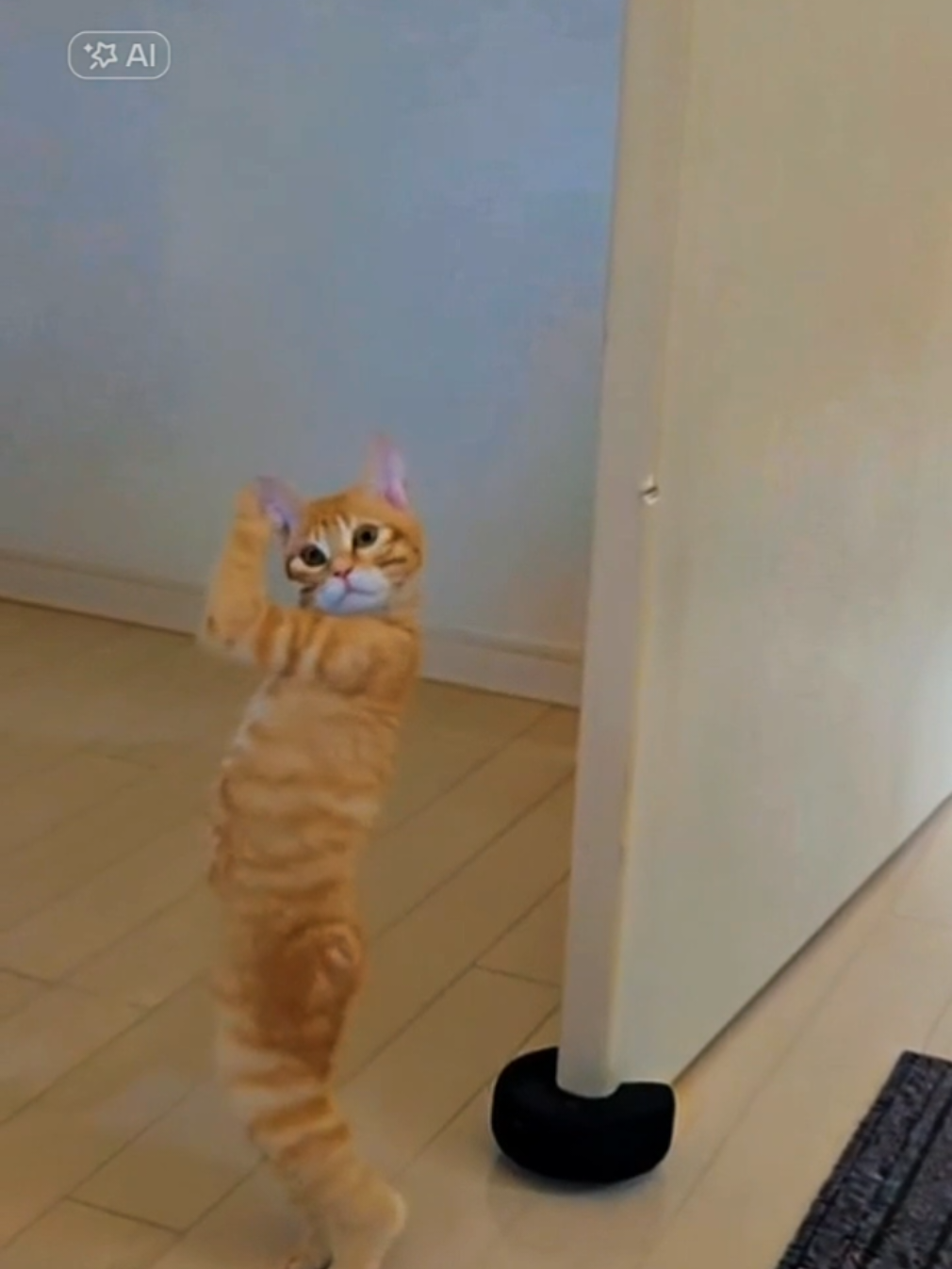 #CapCut #猫ダンス 