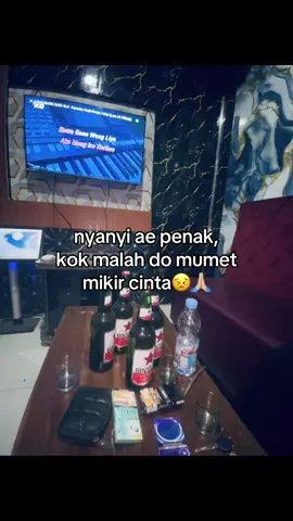 #stecu #promomakangajian #karaoke 