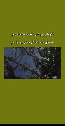 اكو ناس من تصير عدهم مشكله يدور ستوري مناسب اكثر مما يدور لها حل#قصائد_شعر_خواطر #شعراء_وذواقين_الشعر_الشعبي🎸 #pov #trnding #layseverywhere #4u #pov 
