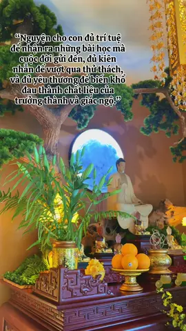 “Nguyện cho con đủ trí tuệ để nhận ra những bài học mà cuộc đời gửi đến, đủ kiên nhẫn để vượt qua thử thách, và đủ yêu thương để biến khổ đau thành chất liệu của trưởng thành và giác ngộ.” #thiên_hương_quán #phậtphápnhiệmmầu #dangthienhuong 