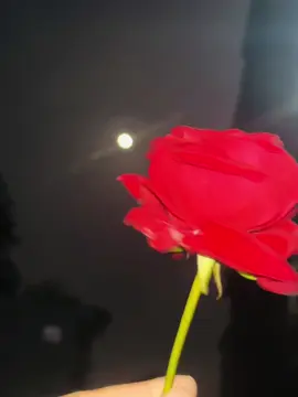 💔🥺✨