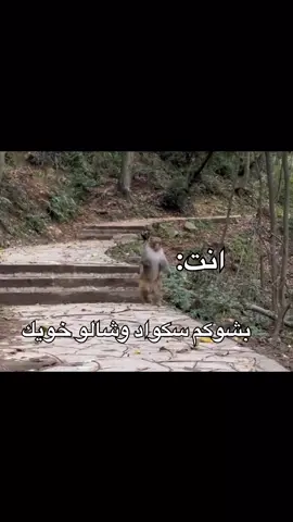 فورت نايت منشن خويك البوت😂 الي يهرب فكل فايت🤯 #فورت #مميز #fyp #fortnite #الشعب_الصيني_ماله_حل😂😂 